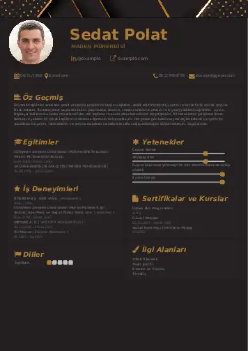 cv indir